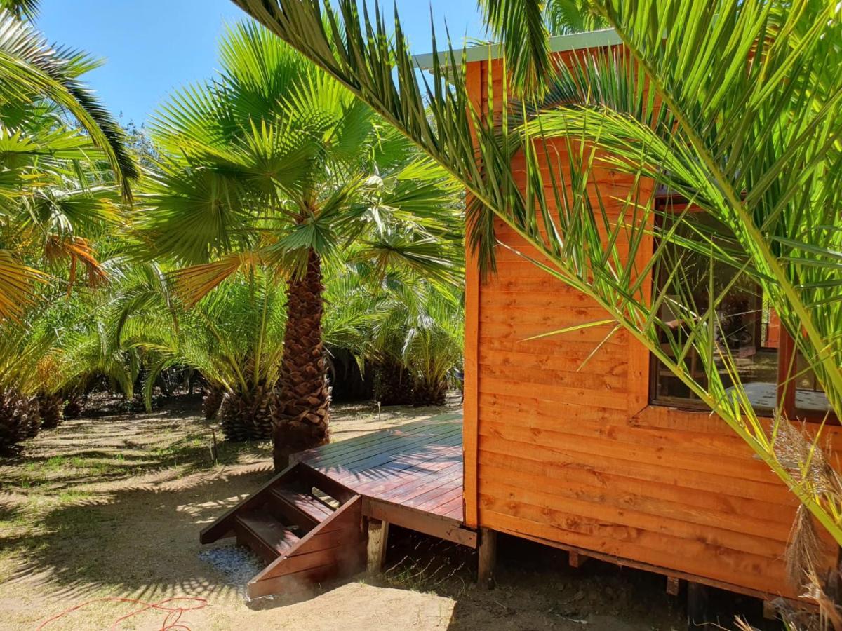 The Farmhouse Palm Tree Cabin Stellenbosch Exterior photo