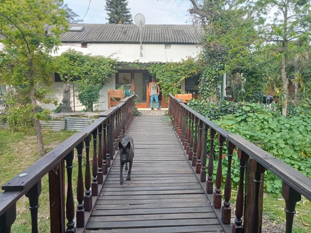 The Farmhouse Palm Tree Cabin Stellenbosch Exterior photo