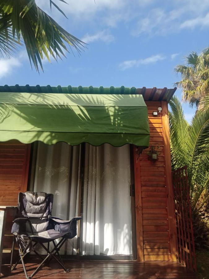 The Farmhouse Palm Tree Cabin Stellenbosch Exterior photo