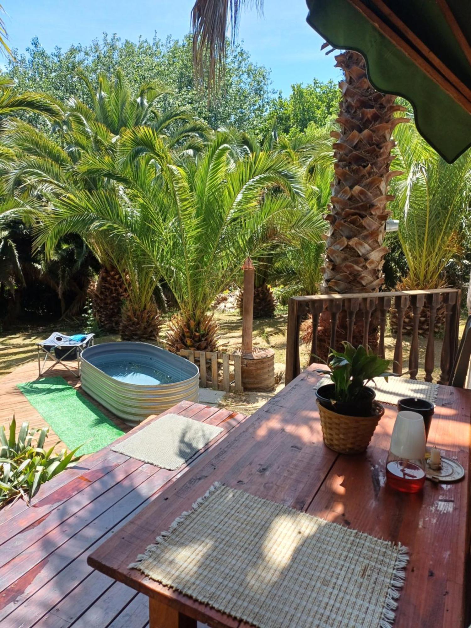 The Farmhouse Palm Tree Cabin Stellenbosch Exterior photo